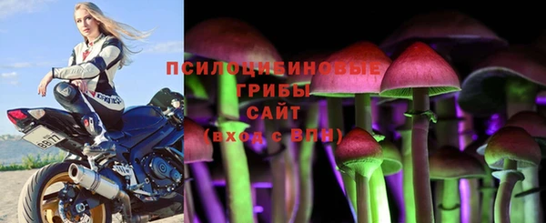мдпв Нефтекумск